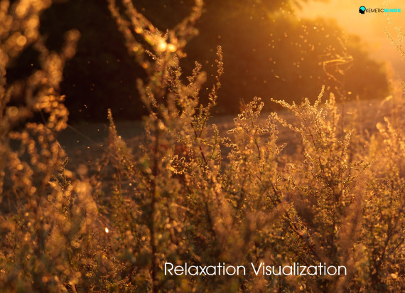 relaxation_visualization